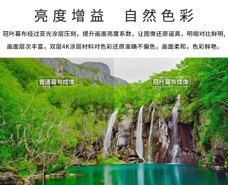 冠叶幕布亮度增益自然色彩 冠叶幕布亮度增益自然色彩